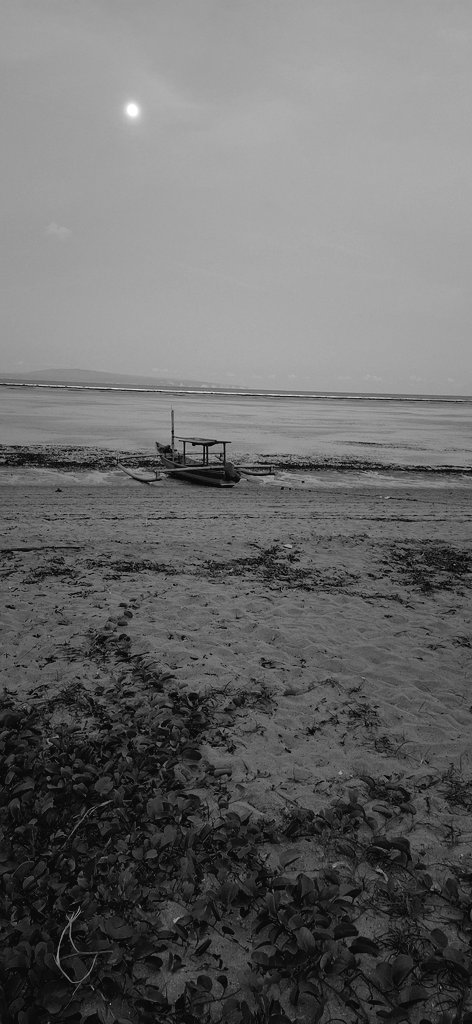 Marc Jacobs tweet media