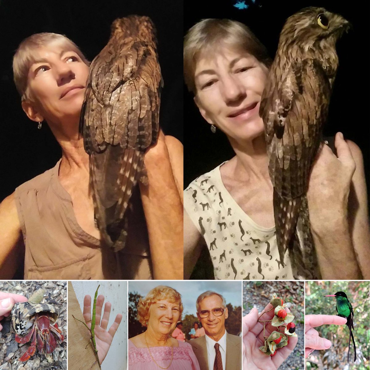 Wendy Ann Lee, #Jamaican environmental activist, conservationist, rescuer of endangered animals, born 66 years ago today on 6 Sep 1959. Potoo Whisperer. #Jamaica #Caribbean