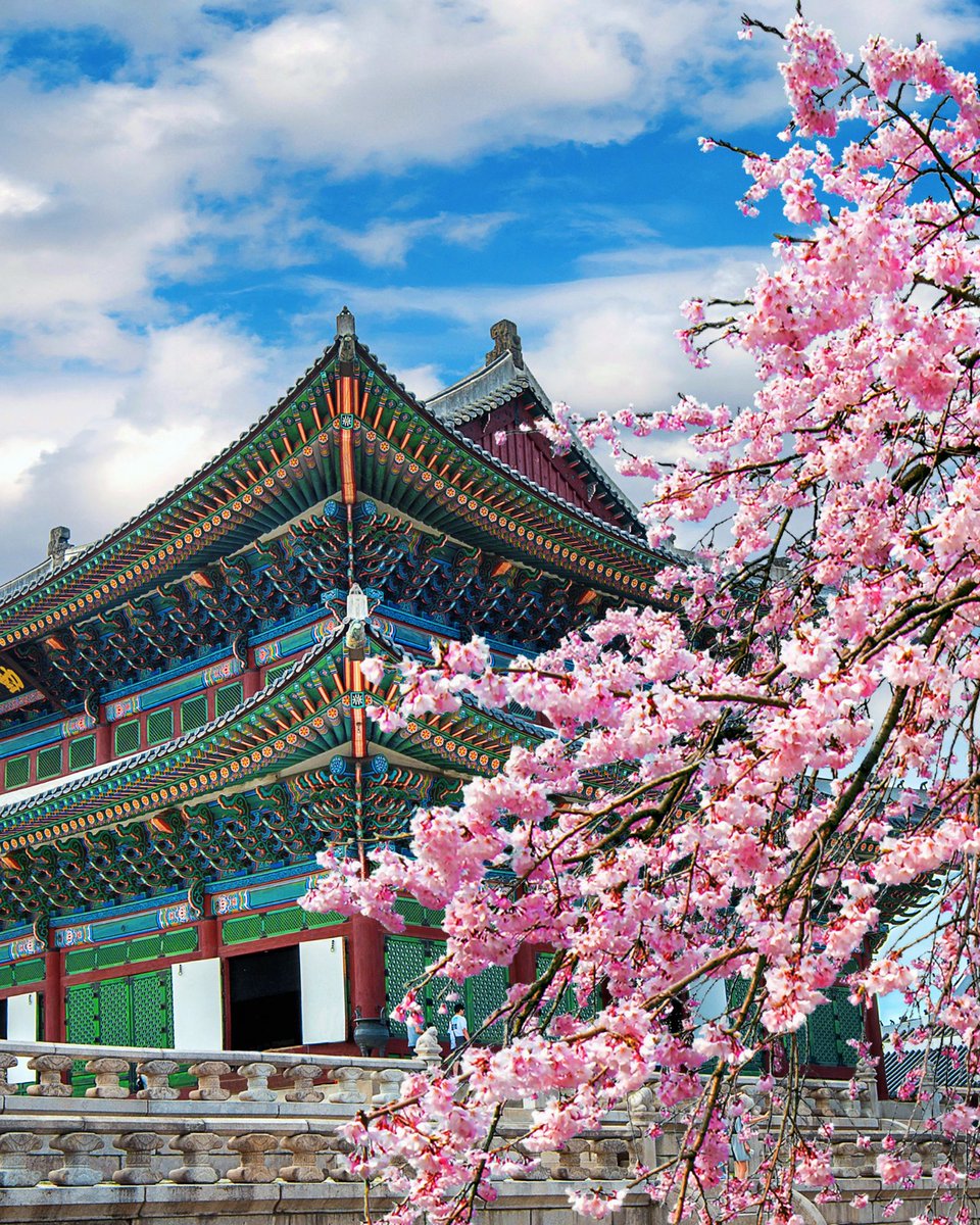 ✨ Seoul — Where tradition meets modernity 🇰🇷
Palaces by day, neon skylines by night, flavors that never end.
This is the soul of Korea.
#Seoul #SouthKorea #Travel