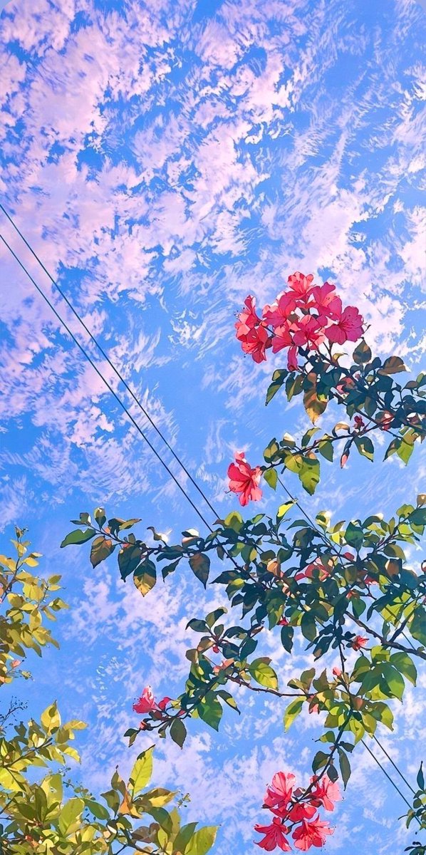 Nature_Era28's tweet photo. Art of Nature ♥️✨♥️ https://t.co/KgxQlKWTDB