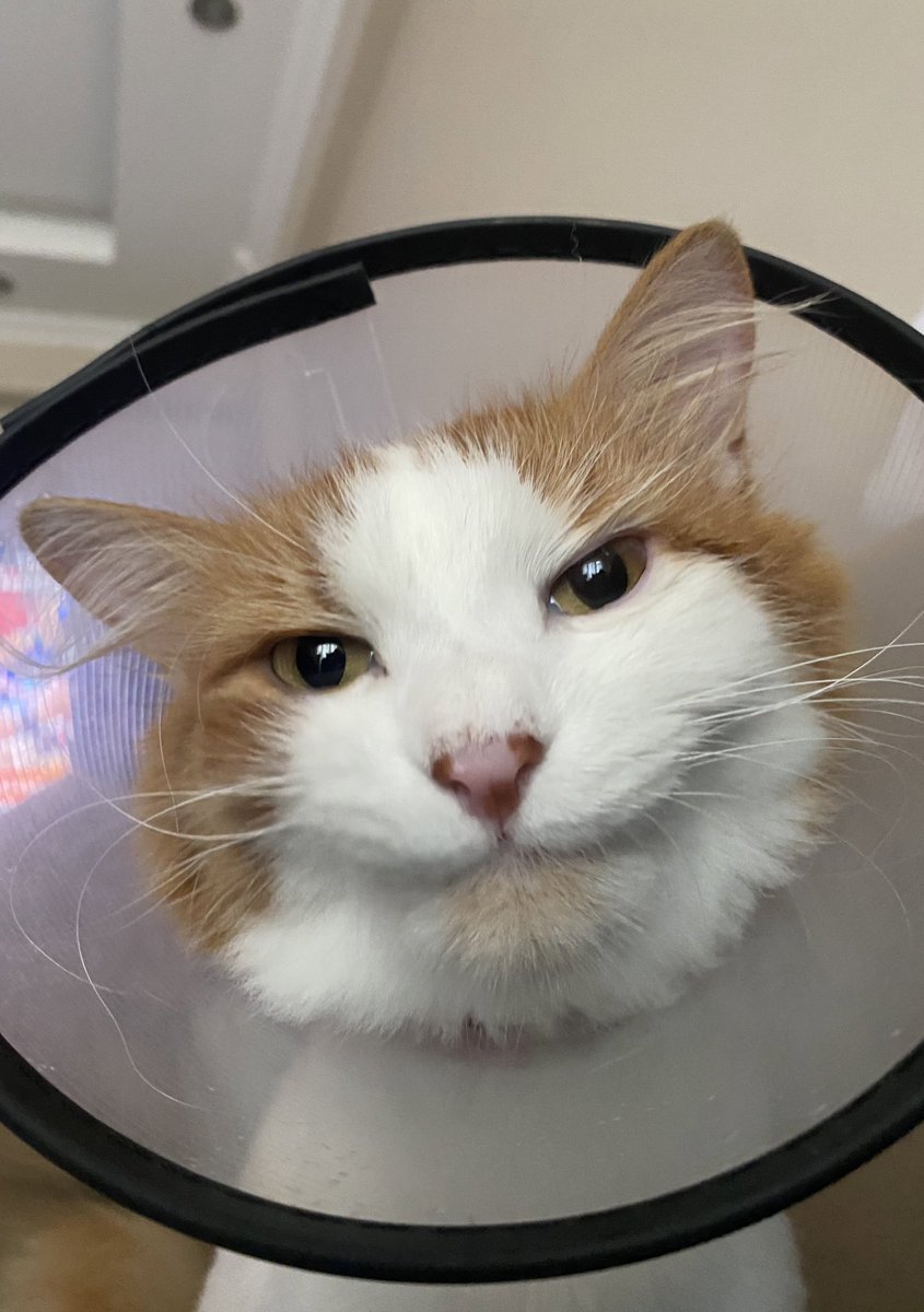 Suradımı kassısana yabamıom bn