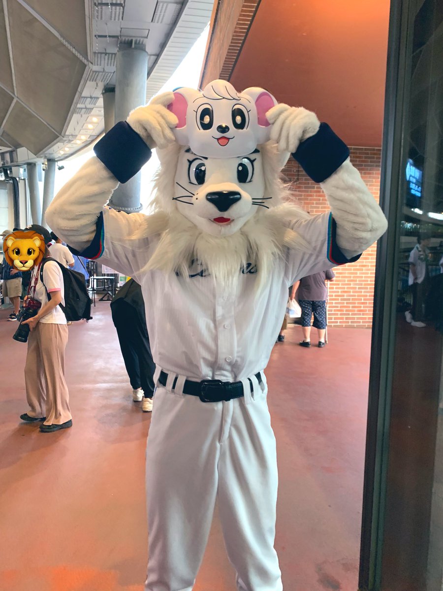 ひらりです SALE】adidas Originals(アディダスオリジナルス) ZX 8000 パーレイ ZX