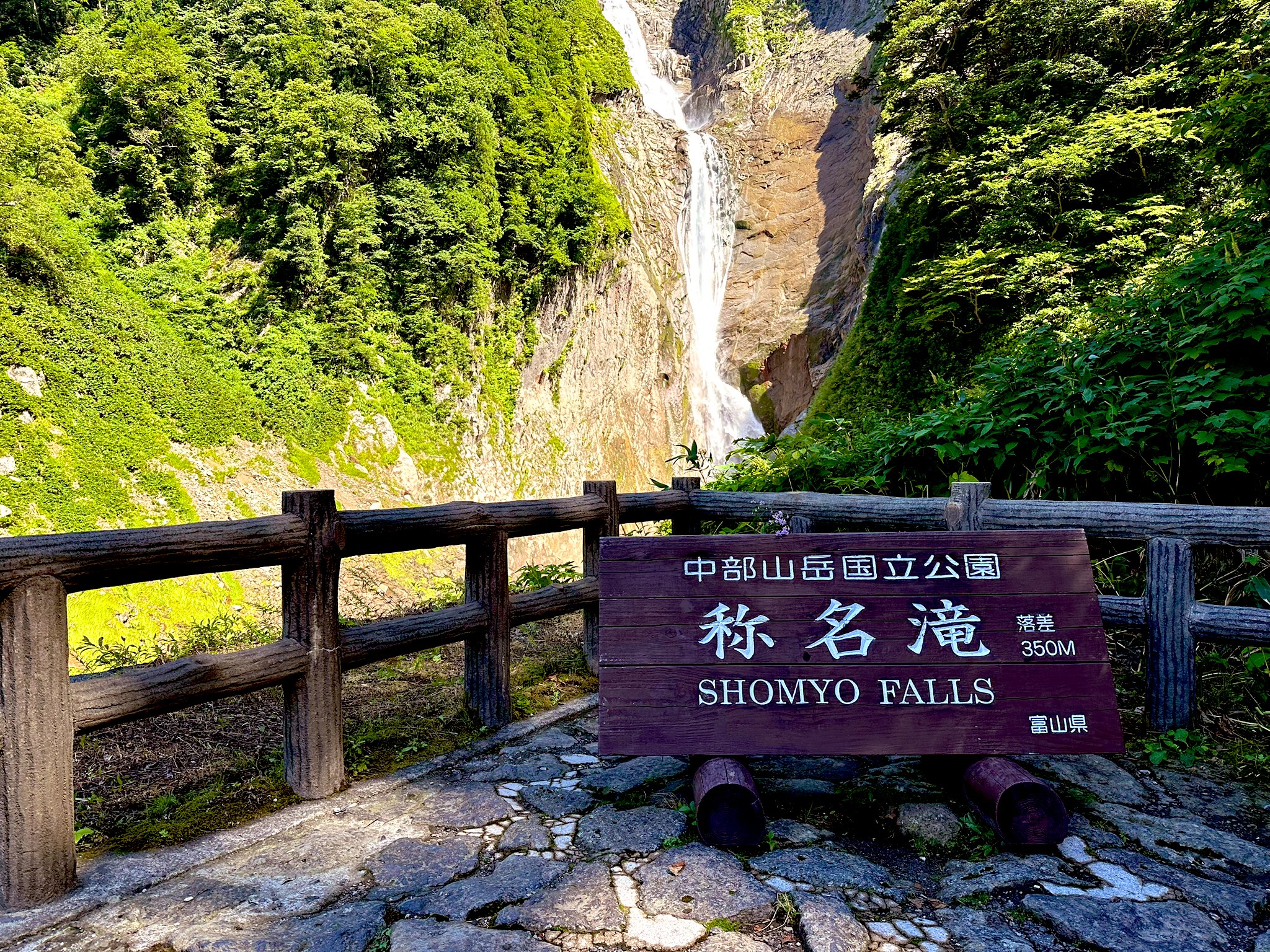 杉っぺ 杉っぺ (@34_barkley) / X