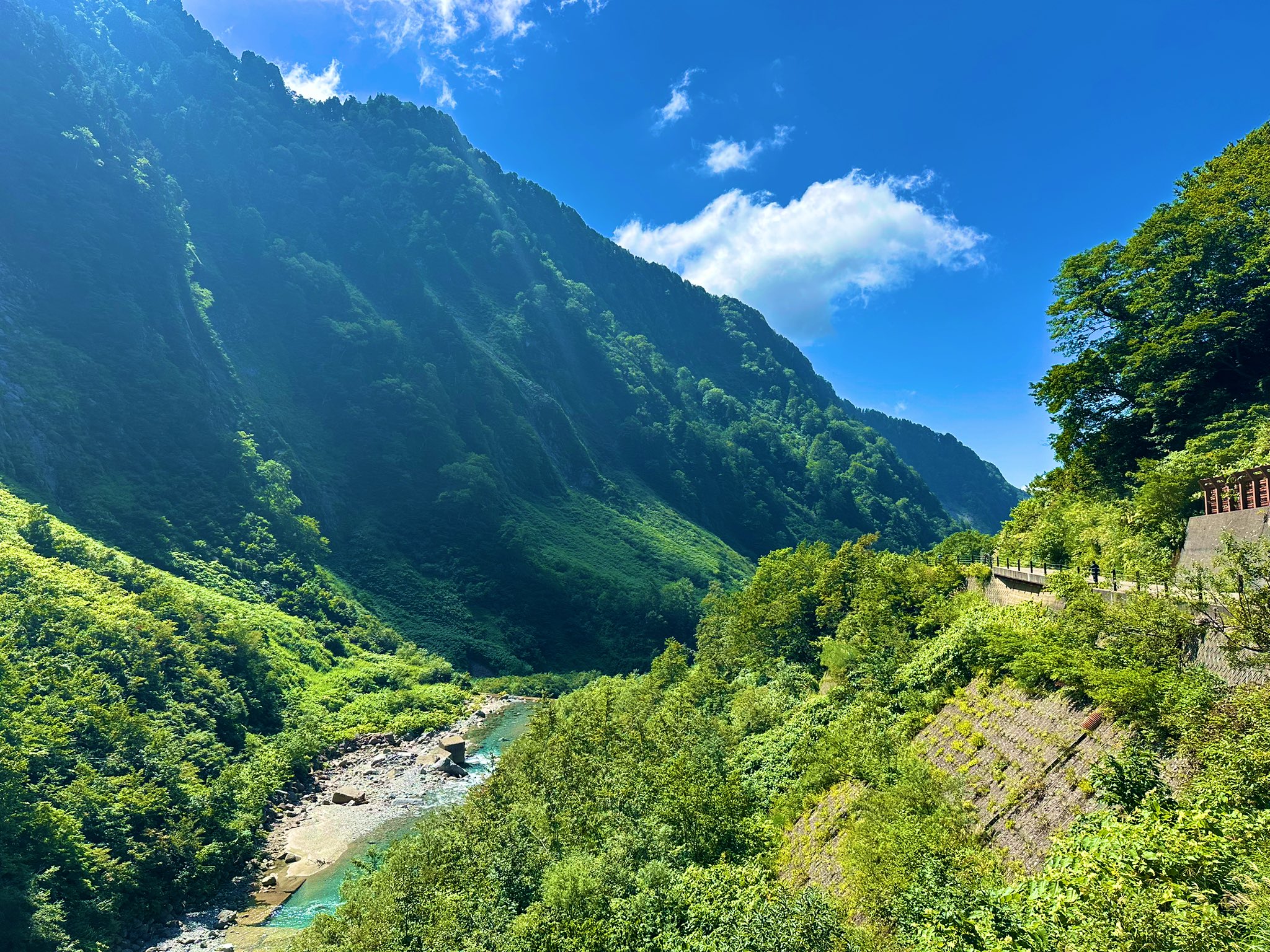 杉っぺ 杉っぺ (@34_barkley) / X