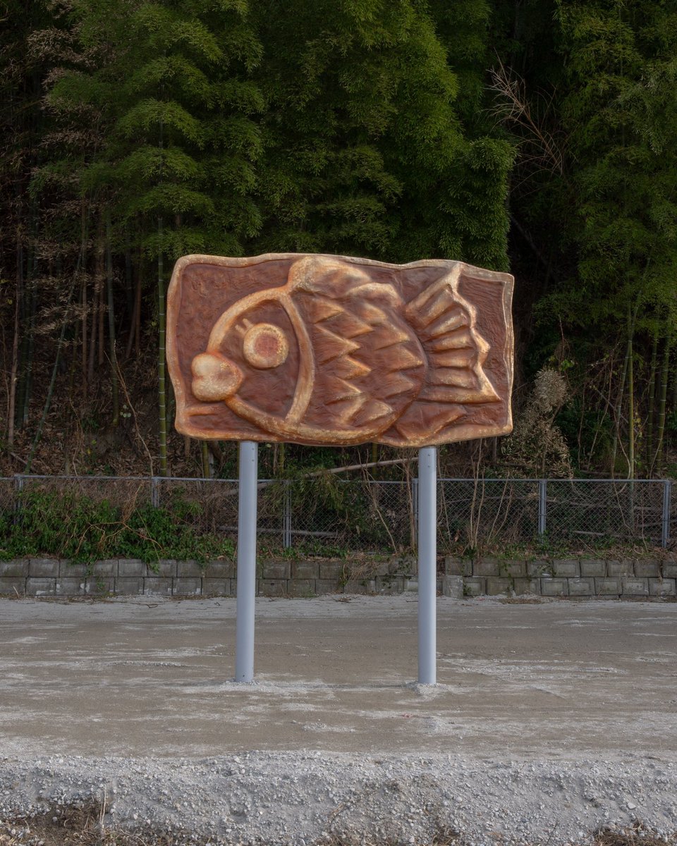 深夜割❗️手作り額付き作品　title「回想ニャンコ」 猫奥 - অনুসন্ধান / X