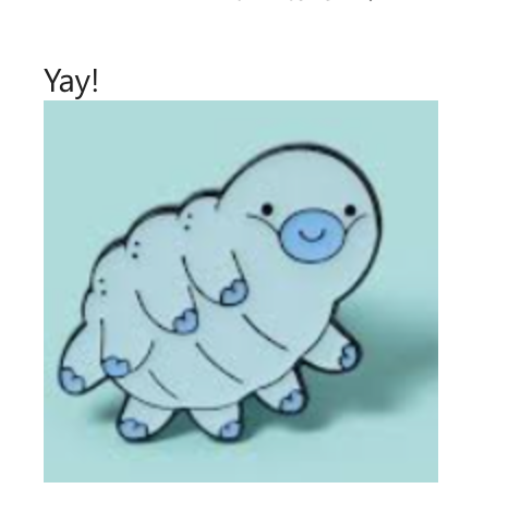 Emma Mitchell 💙 tweet media