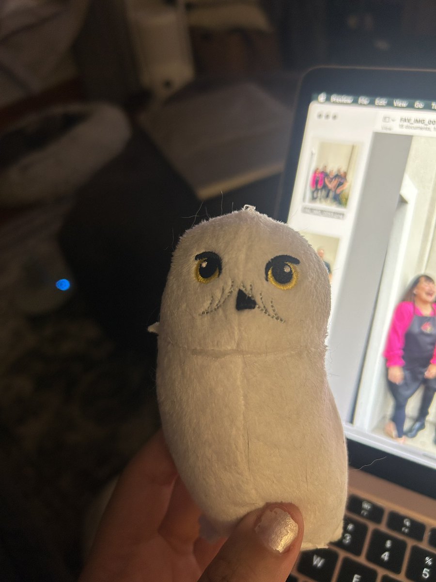 hellolucyl's tweet photo. how do explain the feeling of a cat bringing you a toy to someone without a cat. I could sob 🥹💖🧸 https://t.co/Z9lwPIUymT