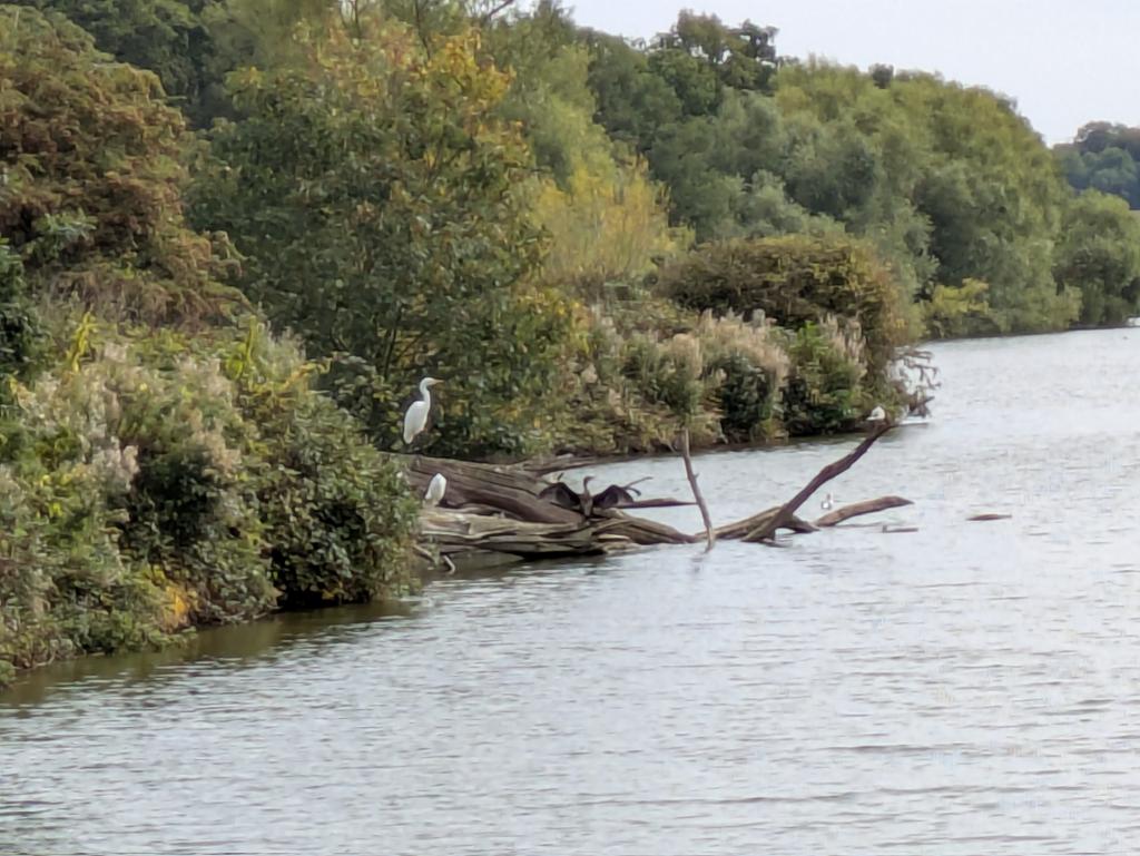 Paul Brook tweet media