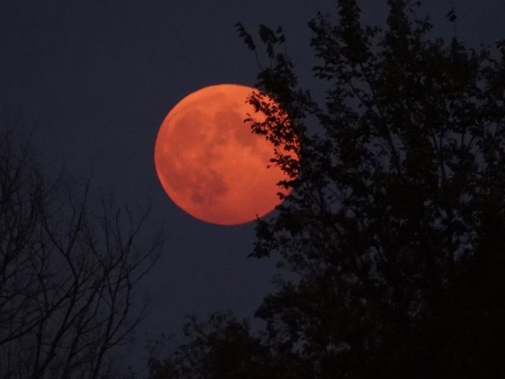 astropics's tweet photo. https://t.co/pEcnlaaHB3