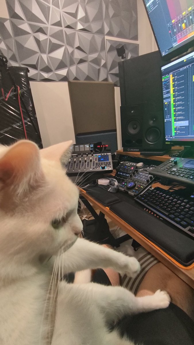 Mixing Commission 
เปิดรับ 5 คิว

แมวเหมียวหิวเปียกจนต้องขึ้นมานั่งทำงานเองแล้ว
ราคาในลิงค์ไบโอเครครับ