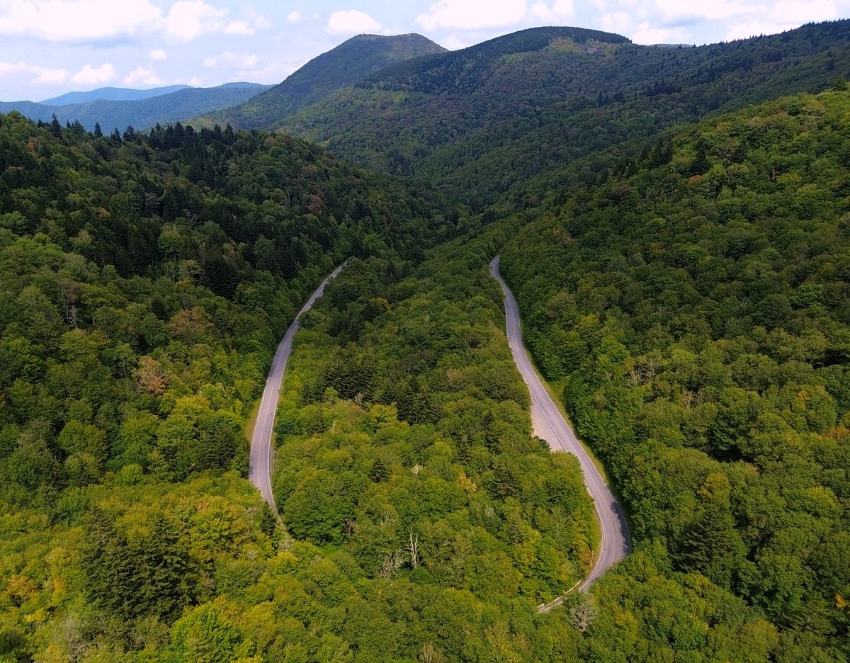 Parkway Colors tweet media