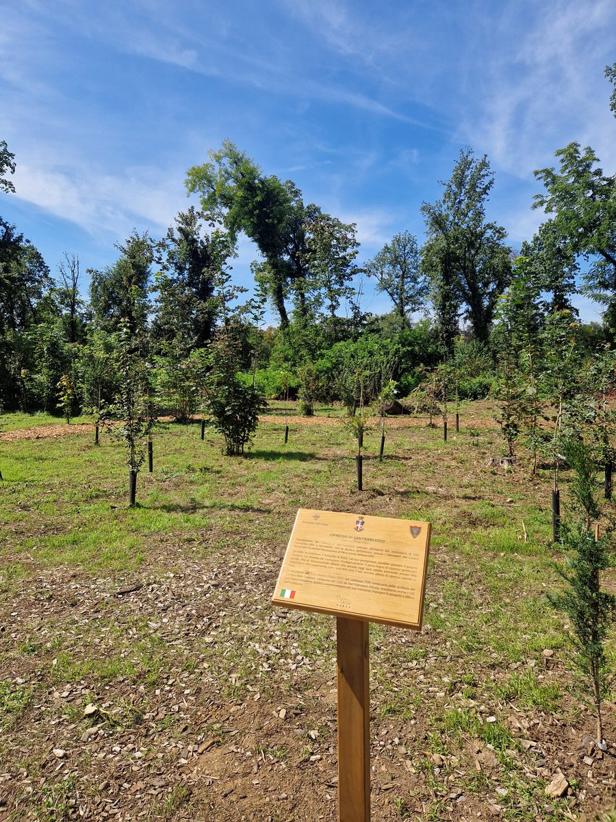 PHortonF1's tweet image. Monza starting to look like Monza again after the storms in 2023 took down 10,000 trees. Ones planted at that year's #ItalianGP growing up. #F1