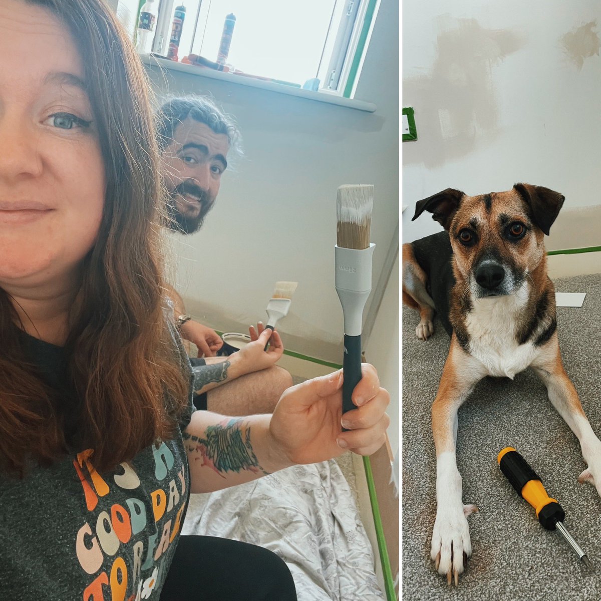 Was always proud of us for buying a house, but never more so than this week, decorating a nursery for the next member of our little family 👶🏻 🎀 (with help from Nymeria, Site Manager)