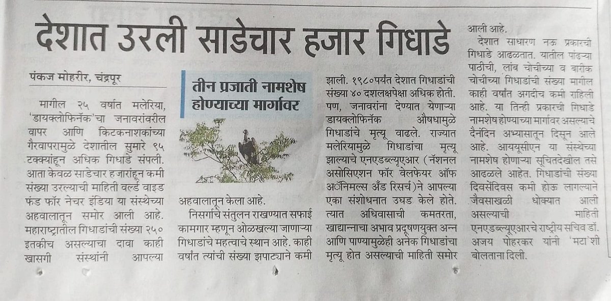 haibatAdake's tweet photo. "When vultures vanish, who will clean nature’s mess?" 🌍
गिधाडे अन्नसाखळीतील महत्त्वाचा घटक. पण देशात फक्त 4.5k, महाराष्ट्रात केवळ 250 उरलीत!
"गिधाडासारखा काय बघतोयस?" हे वाक्य उद्या फक्त म्हणीतच उरेल.. 🪶

Credit - Sudhir kumbhar &amp; PankajMoharir
#SaveVultures #wildlife #India https://t.co/eBku3e9ALb