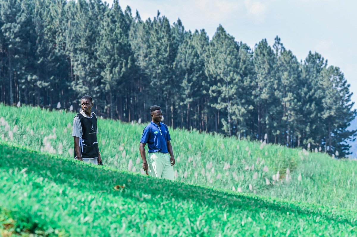 The moment we’ve been waiting for! 

The Amateur Open wraps up today at the #JWUGOPEN2025 in Lugazi Hills Golf &amp; Country Club, and of course we’ll have the 19th hole wind down with <a href="/TimothyCODE/">The #CROWNBoy</a> and <a href="/melvyndeejay/">MELVYN DEEJAY 🇺🇬</a>