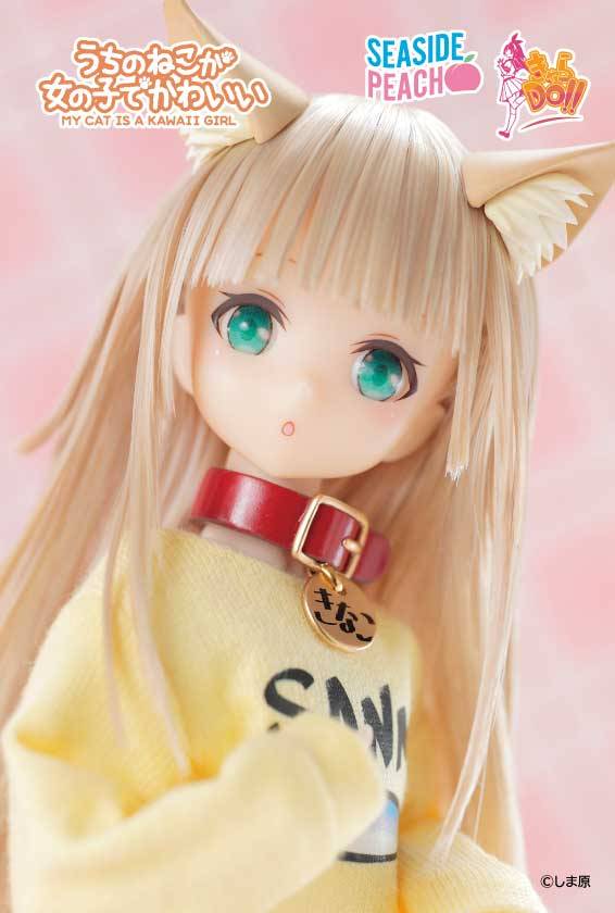 🍑#うちのねこが女の子でかわいい きなこドールとアウトフィットアイテムを明日の #ドールショウ76 で初販売いたします❣️

残り少ないものもございますのでこの機会によろしくお願いします🐈️

🎪 5A07～08 東京waiwaiランド 様卓になります‼️

#DS76
#ドール