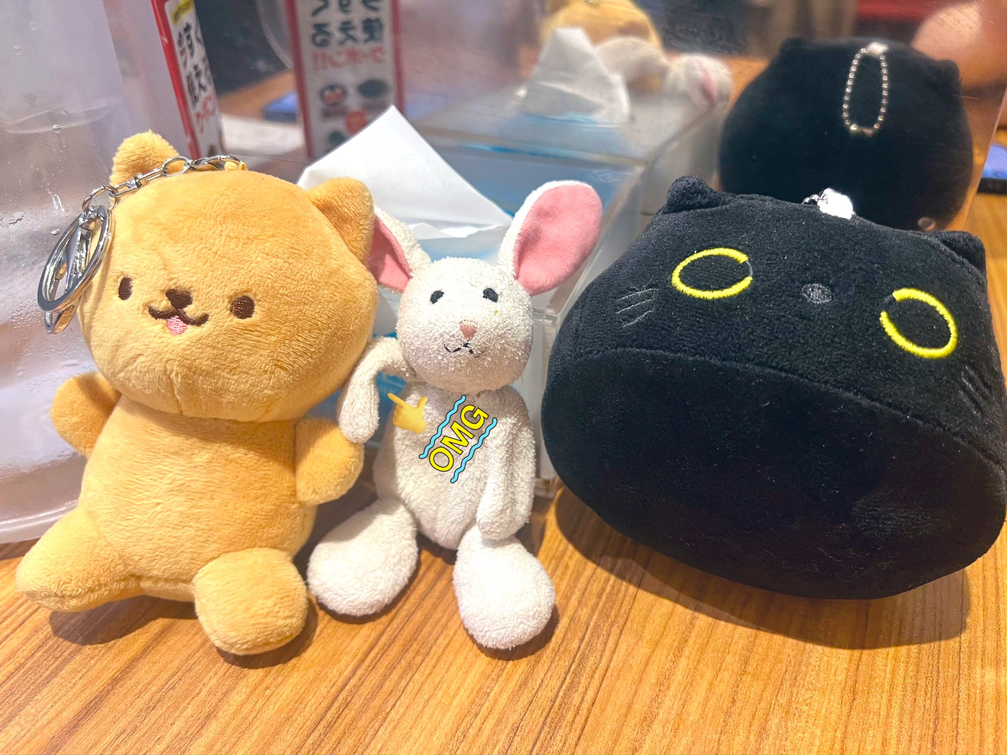 MEOWニャンちゃん (@826nyanchan) / X
