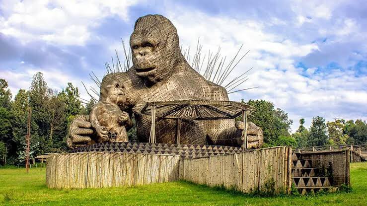 The 2025 Kwita Izina Gorilla Naming Ceremony, Rwanda's 20th edition of the annual event, took place on September 5, 2025, in Kinigi, naming 40 baby gorillas to highlight conservation success and community engagement.  Here are some of the personalities that named them.

🦍 Khaby