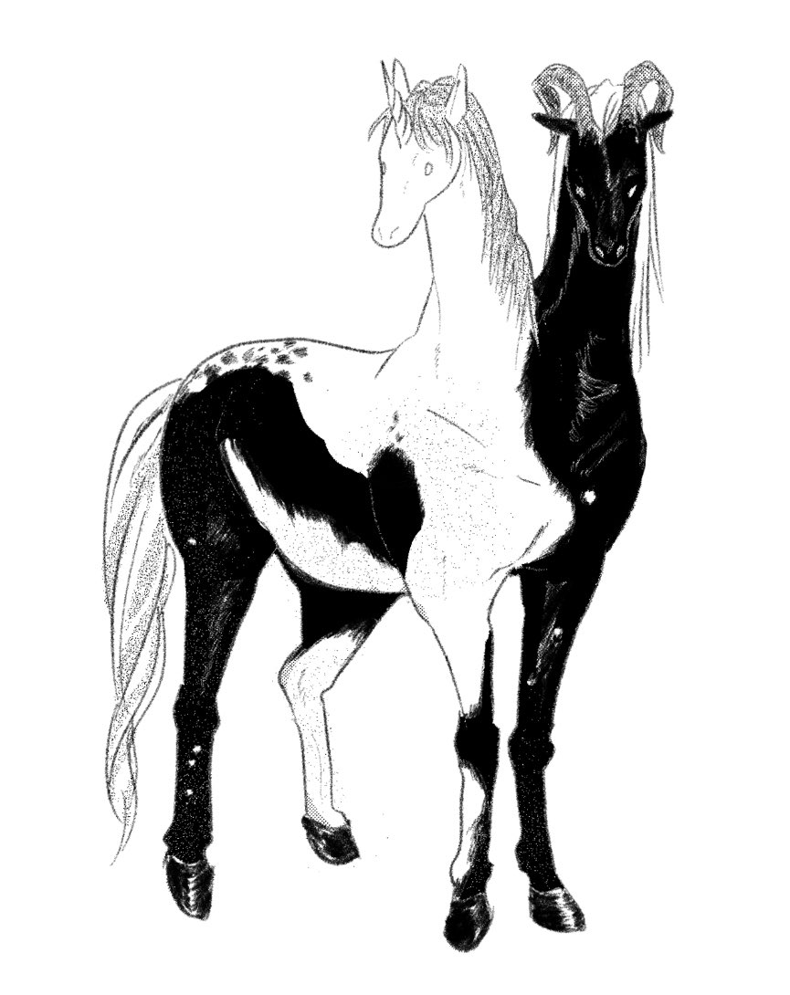 문득 쌍두말은 잘 없었던 것 같길래 유니콘이랑 바이콘이 합쳐진걸 보고싶어서 낙서 슥삭~