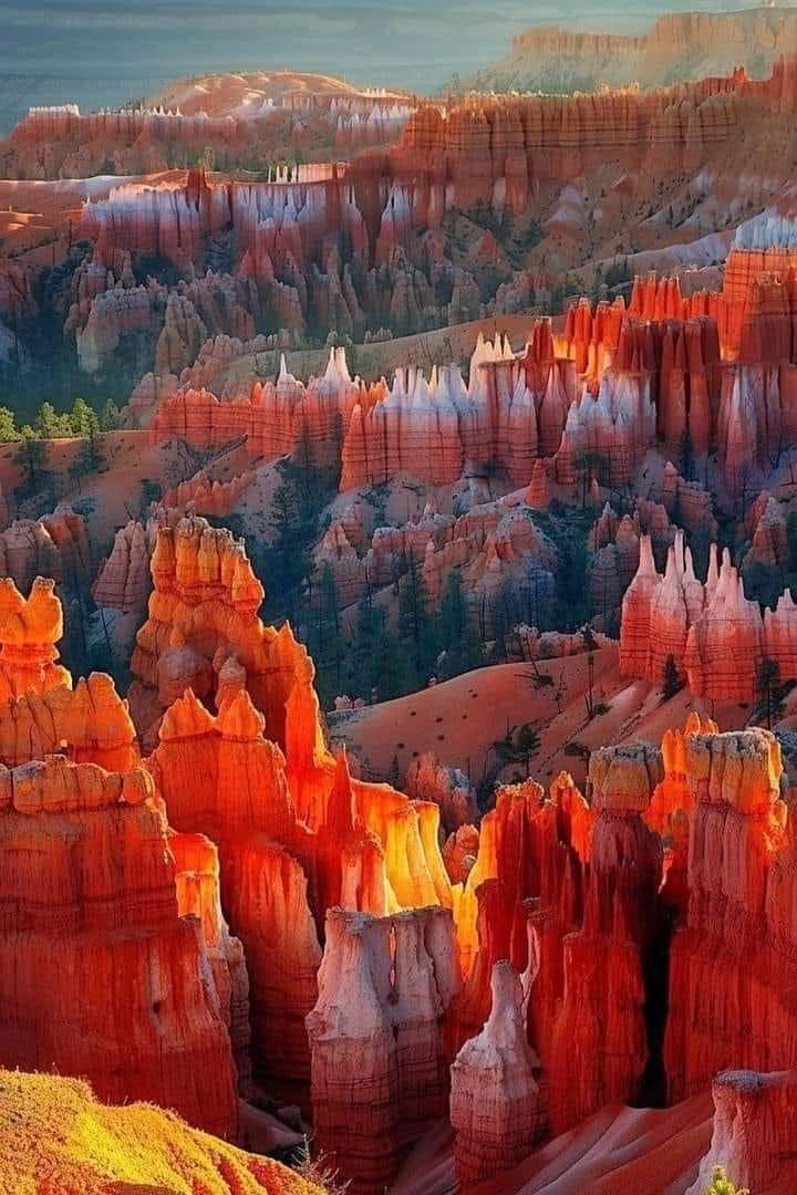 RubySmith149196's tweet image. Amphitheater of Stone: The Stunning Vistas of Bryce Canyon, Utah..