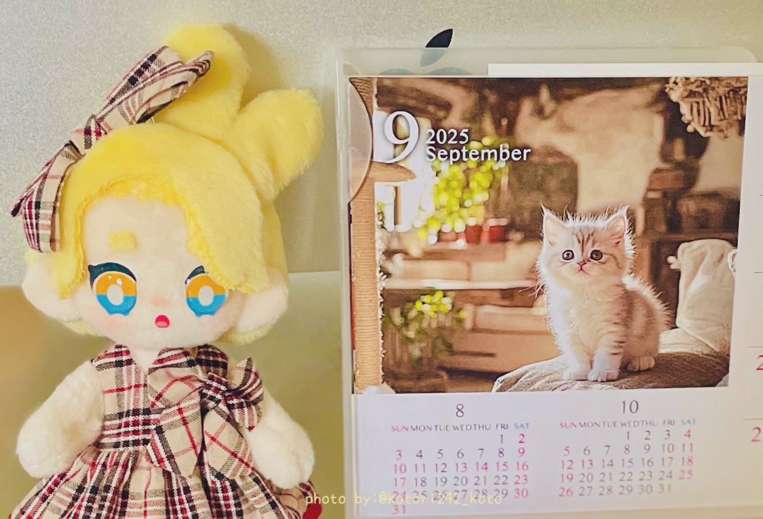 めちゃくちゃ可愛い6冊　レトロアニマル　コラージュ　クロモス　ヴィクトリアン えっくす☆きゅーと15thシリーズ「Melty☆Cute/Little Punkish