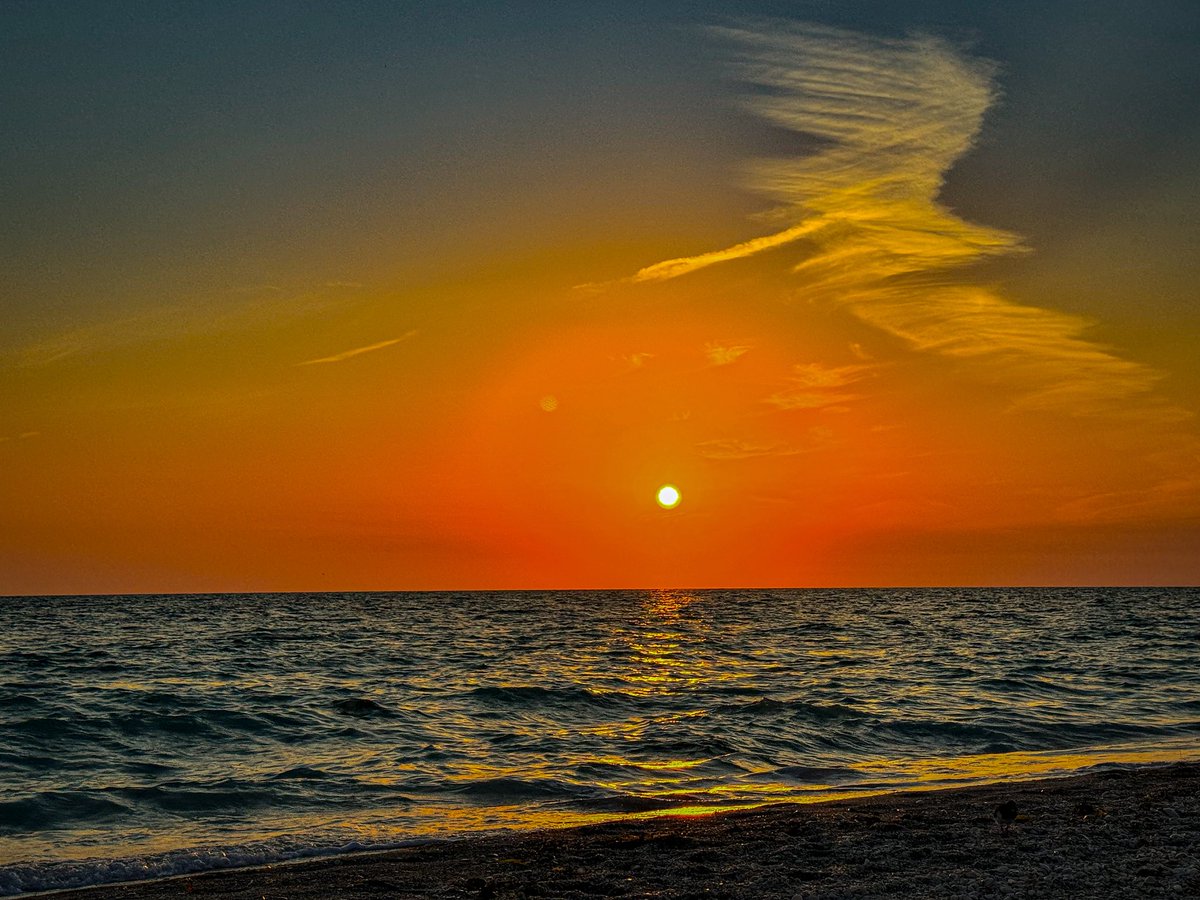 Paul Charles Art tweet media