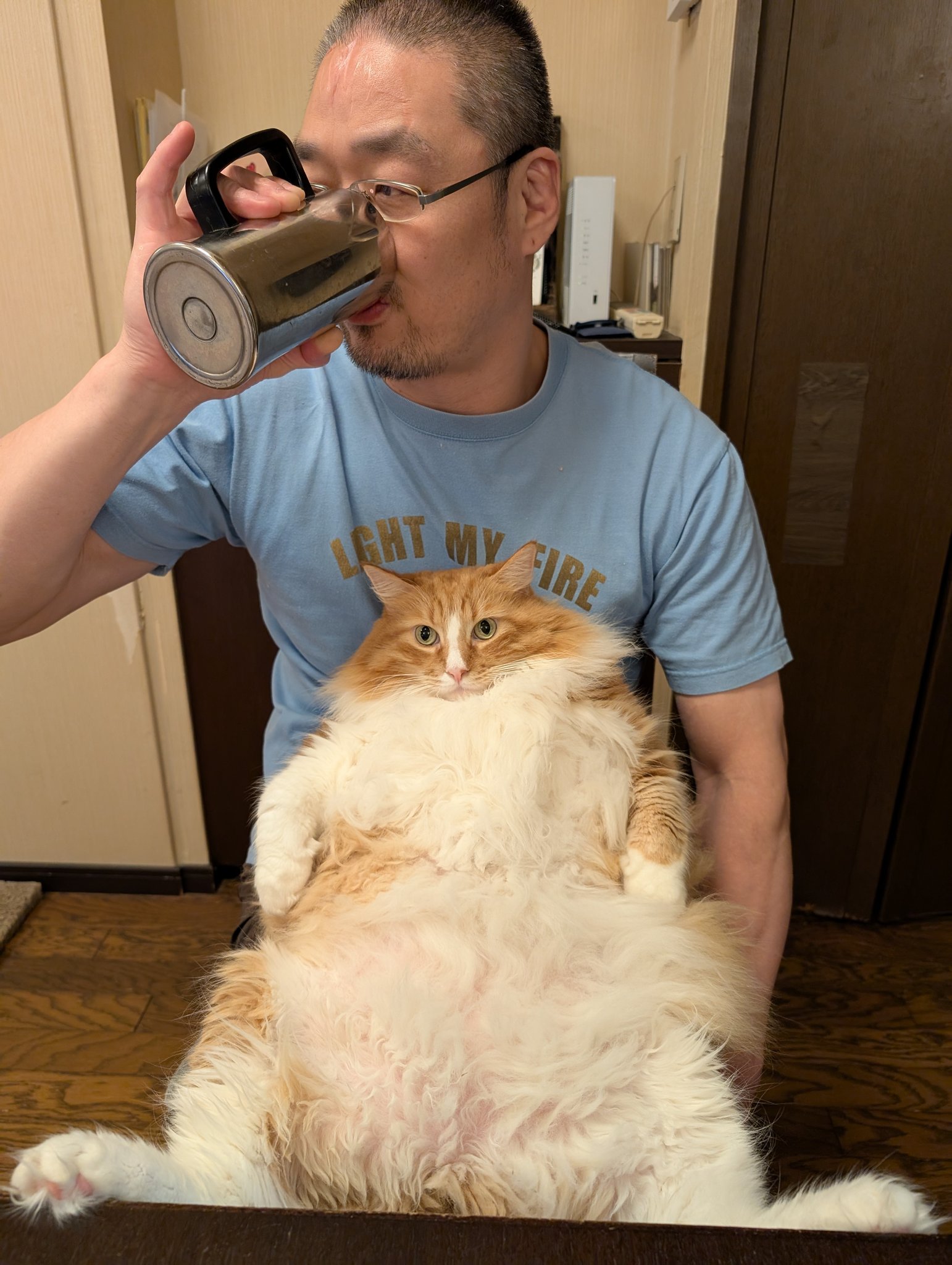 猫ちゃん ハイハイねこちゃんは エキゾチックショートヘアにしました。 手