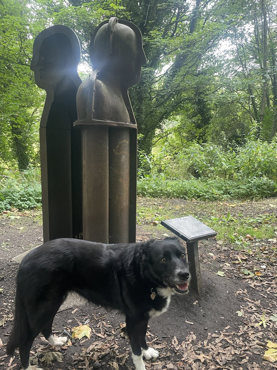GeordieHound's tweet image. Today we had an Adventure Saturday to Bedlington where we walked along the river Blyth. We had to do a little bit of hill scrambling due to some unexpected private paths but it all worked out okay. I was off lead most of the time as it was quiet