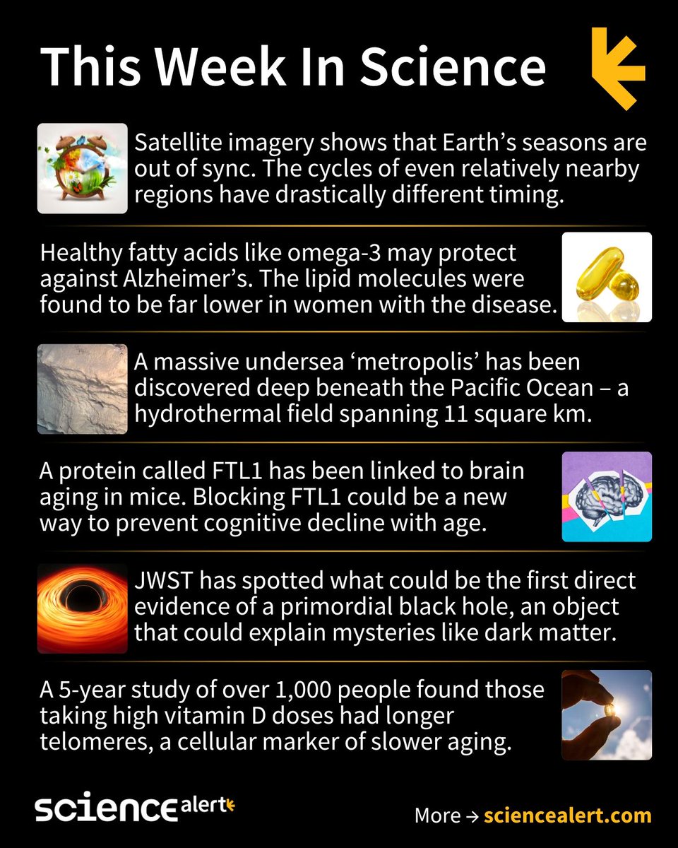 ScienceAlert's tweet image. This Week In Science (August 31 – September 6) 🧪

Out-of-sync seasons, an undersea &apos;metropolis&apos;, aging breakthroughs, and much more!

#ScienceNews #ScienceAlert #STEM #ThisWeekInScience #TWIS