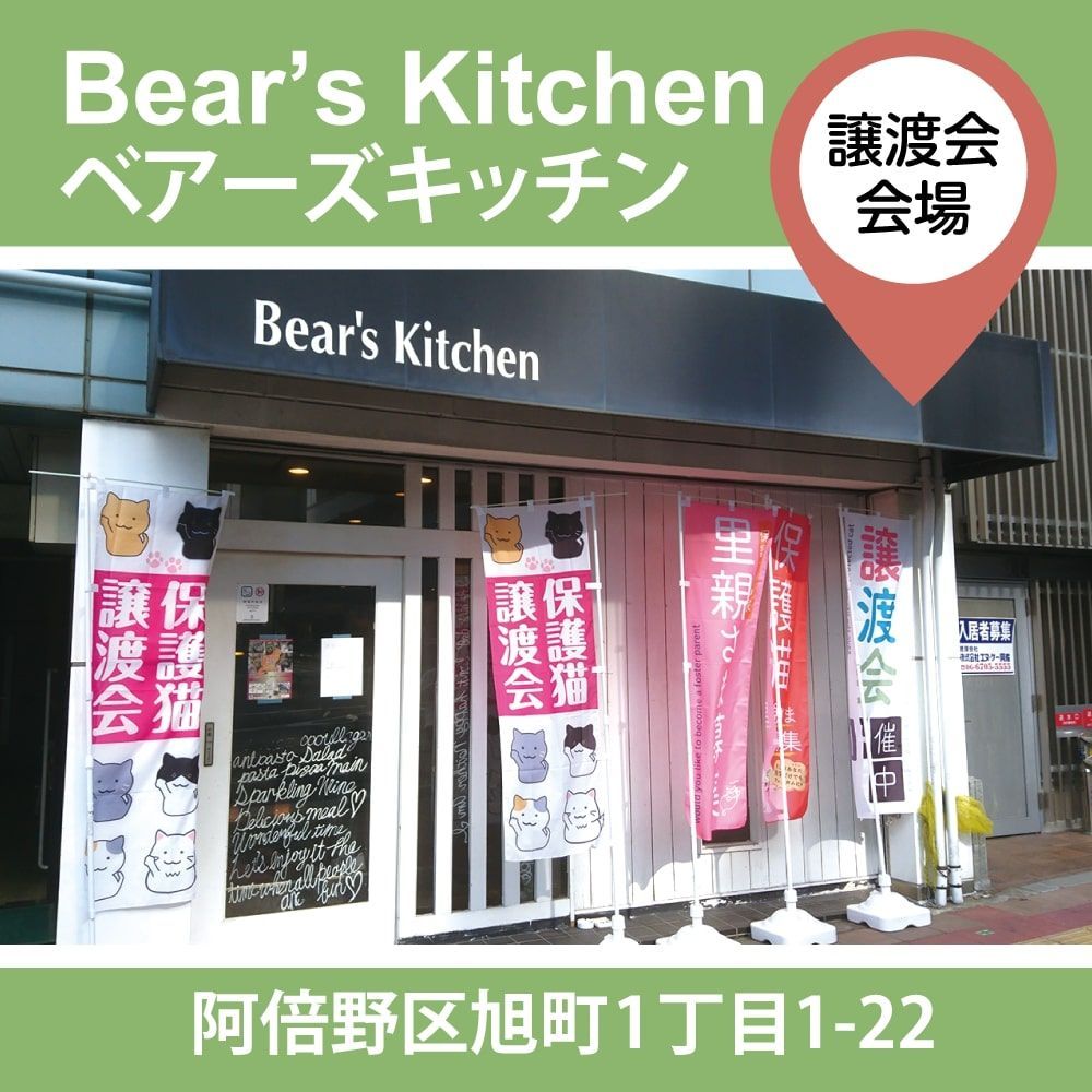 拡散RTにご協力ください。

毎月第1日曜に大阪の天王寺で譲渡会を開催しています。
皆さまのご来場を保護猫たちとお待ちしています。

【日時】
9月7日（日）
第1部：11時～13時
第2部：14時〜16時

【会場】
Bear's Kitchen
天王寺駅より徒歩5分

詳しくはこちら👇
hogonekonoie.jp/jotokai/