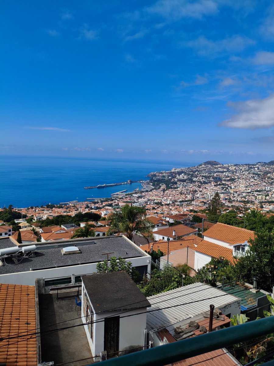 Marek Wachnik tweet media