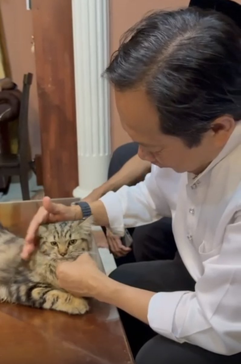 ahmadmaslan's tweet image. Bertemu “Bell” di #Kuching #Sarawak. Amat jinak namun wajah persis seekor singa kecil. #Kucing haiwan kegemaran saya. Di kediaman KL ada
1) Badang
2) Meera
3) Mochi 
4) Aboi 
5) Blackie (liar &amp;amp; duduk luar)
6) Bono (anak saya ambil)
7) Grizmo, InkBolt, ZigZag (3 anak Mochi &amp;amp; Aboi)