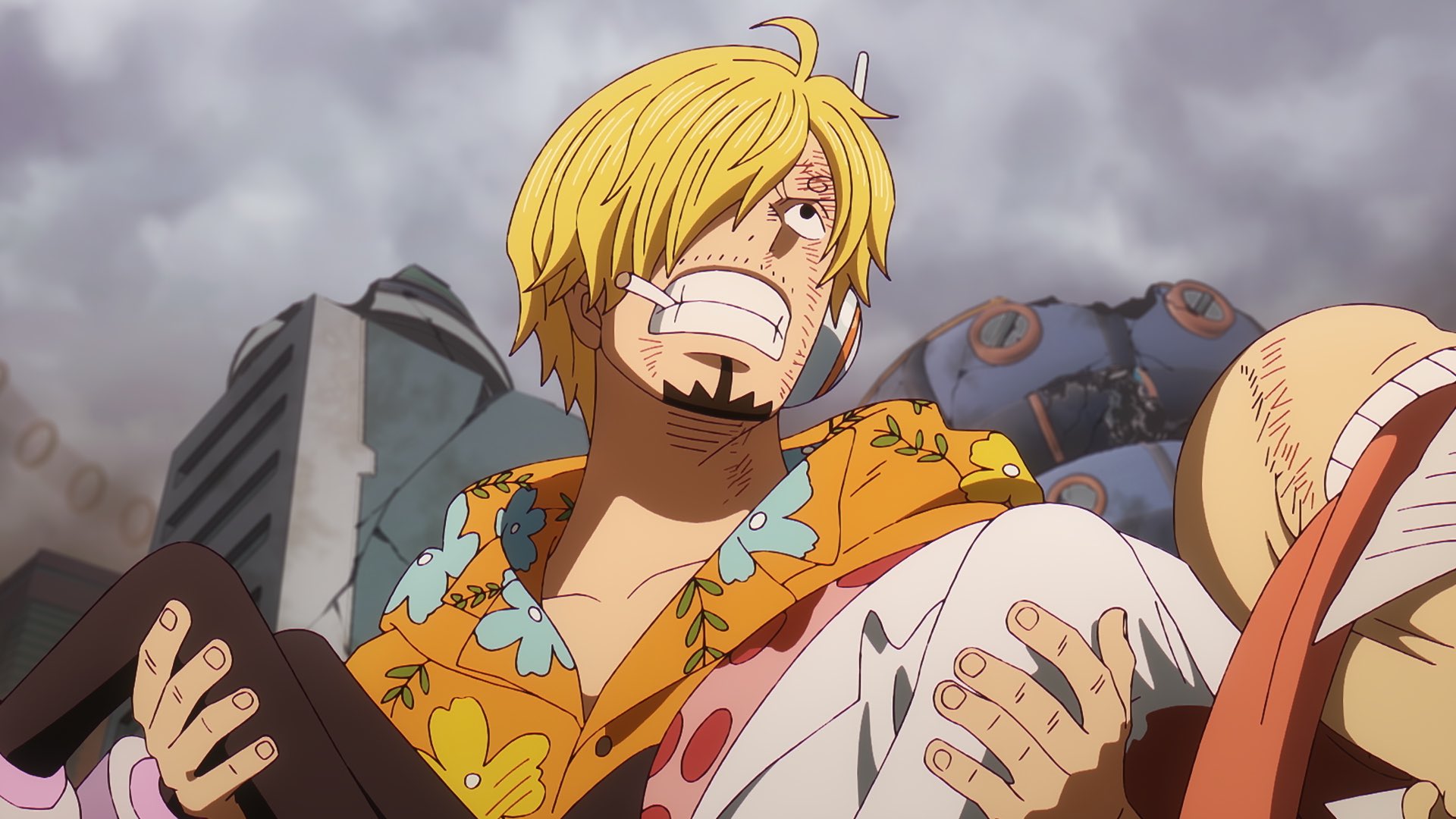 ワンピース アニメ ONE PIECE Eternal Log “DRESS ROSA” 下 : ONE PIECE