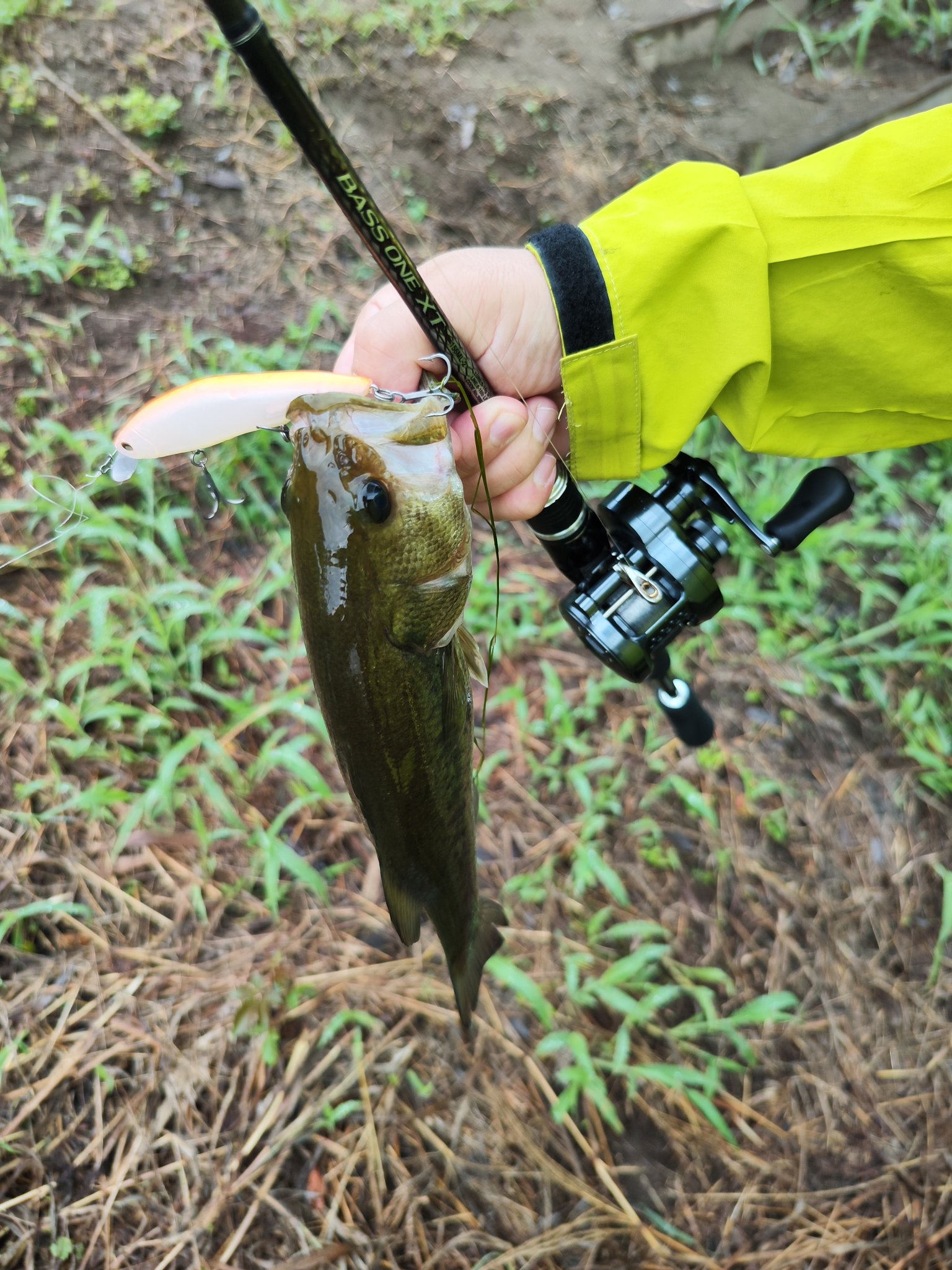 Nishine Lure Works (@Beatour27) / X