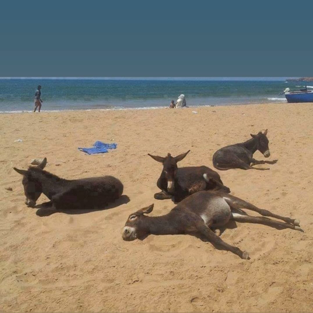 Summertime in Greece ˜ƒ