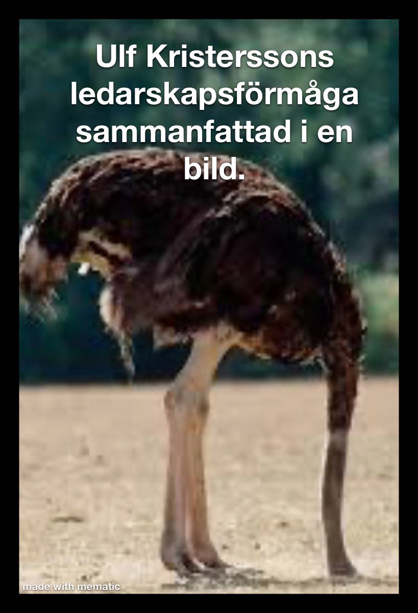 Niklas Widén (@nwidn) on Twitter photo Ulf Kristerssons <a href="/SwedishPM/">Ulf Kristersson</a> ledarskapsförmåga sammanfattad i en bild
#tidöregeringen #svpol #ulf <a href="/moderaterna/">Moderaterna</a> <a href="/sdriks/">Sverigedemokraterna</a> #quisling #kd <a href="/kdriks/">Kristdemokraterna</a> <a href="/socialdemokrat/">Socialdemokraterna</a> #s2026🌹 Ulf Kristerssons <a href="/SwedishPM/">Ulf Kristersson</a> ledarskapsförmåga sammanfattad i en bild
#tidöregeringen #svpol #ulf <a href="/moderaterna/">Moderaterna</a> <a href="/sdriks/">Sverigedemokraterna</a> #quisling #kd <a href="/kdriks/">Kristdemokraterna</a> <a href="/socialdemokrat/">Socialdemokraterna</a> #s2026🌹