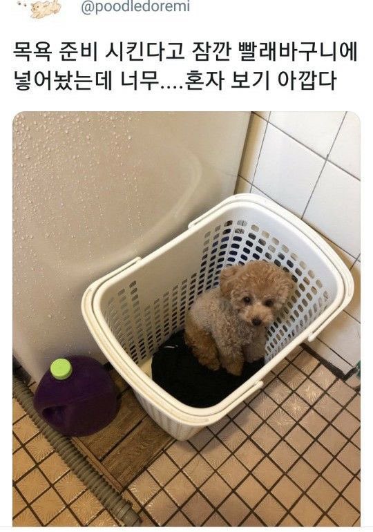 챱 (@lovx11_very) on Twitter photo 