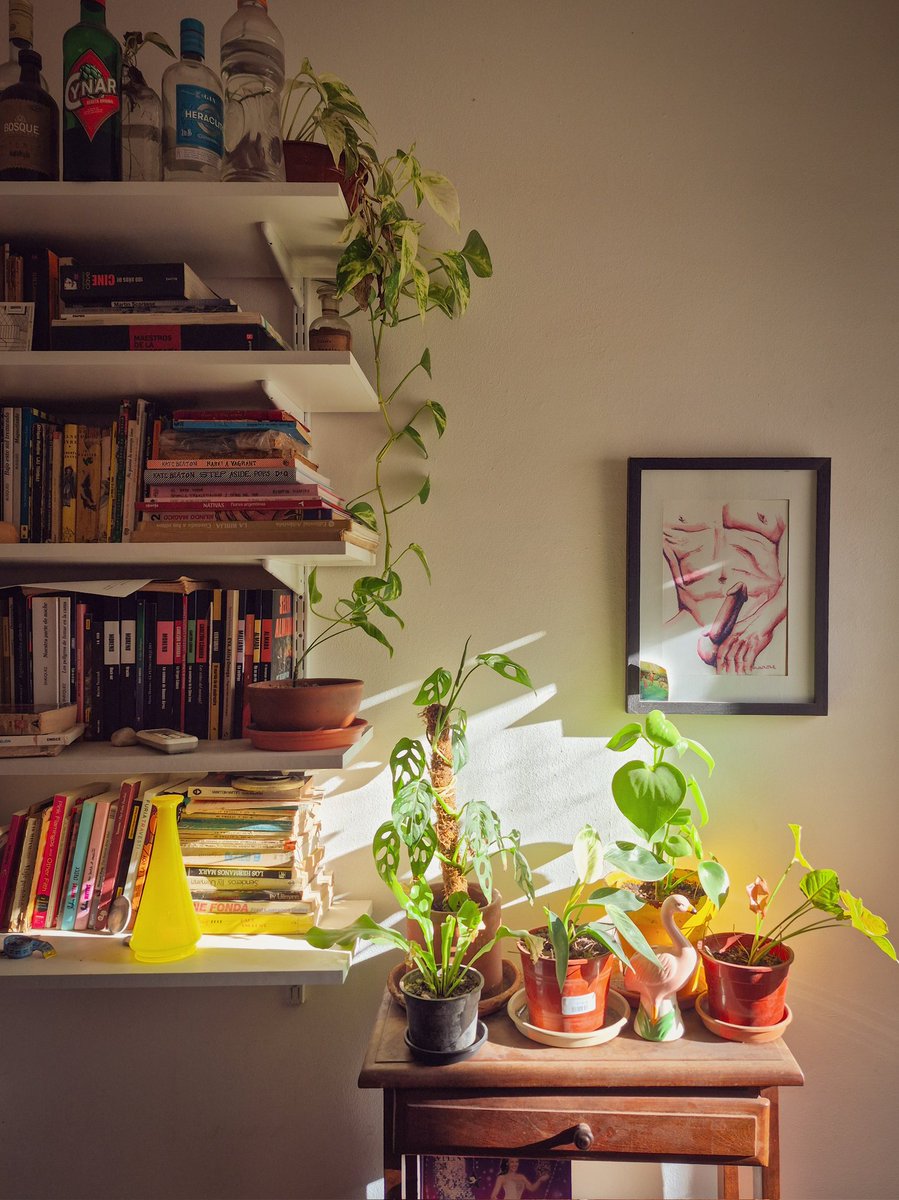 Sábado a la mañana, el momento más maravilloso de la semana.