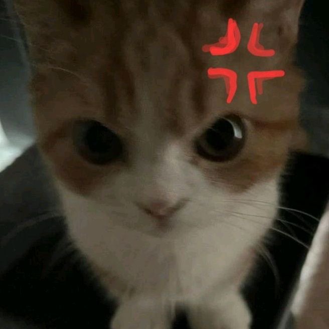 alex ⭒ (@imisspedri) on Twitter photo 