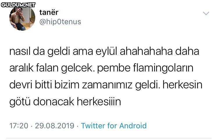 Amed Şahin tweet media