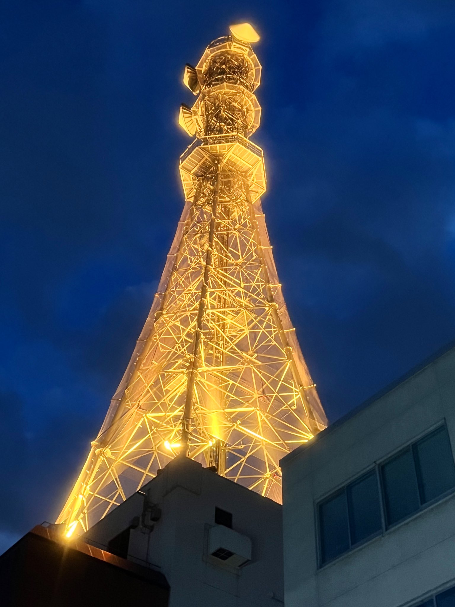 ccp 蓄光祭り05 キングギドラ 2025年7月5日予約開始！CCP新作キングギドラ含むゴジラEX第11弾