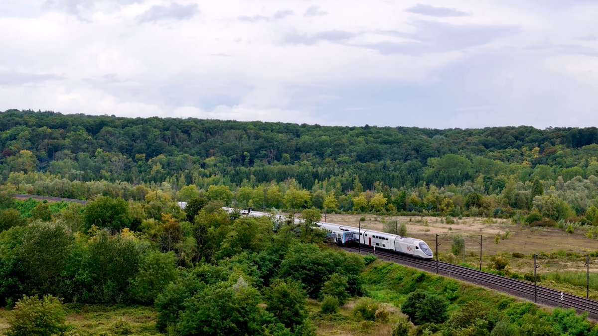tgvdu45's tweet photo. Vous ne pensiez tout de même pas que, sous prétexte que je quitte SNCF Voyageurs, j’allais arrêter de vous parler de lui, quand même ? 😁 #TGVM https://t.co/3xohzqPkjG