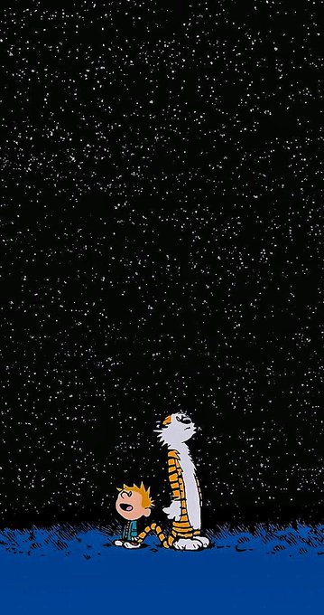 1 año en 100 viñetas:
14- Calvin y Hobbes