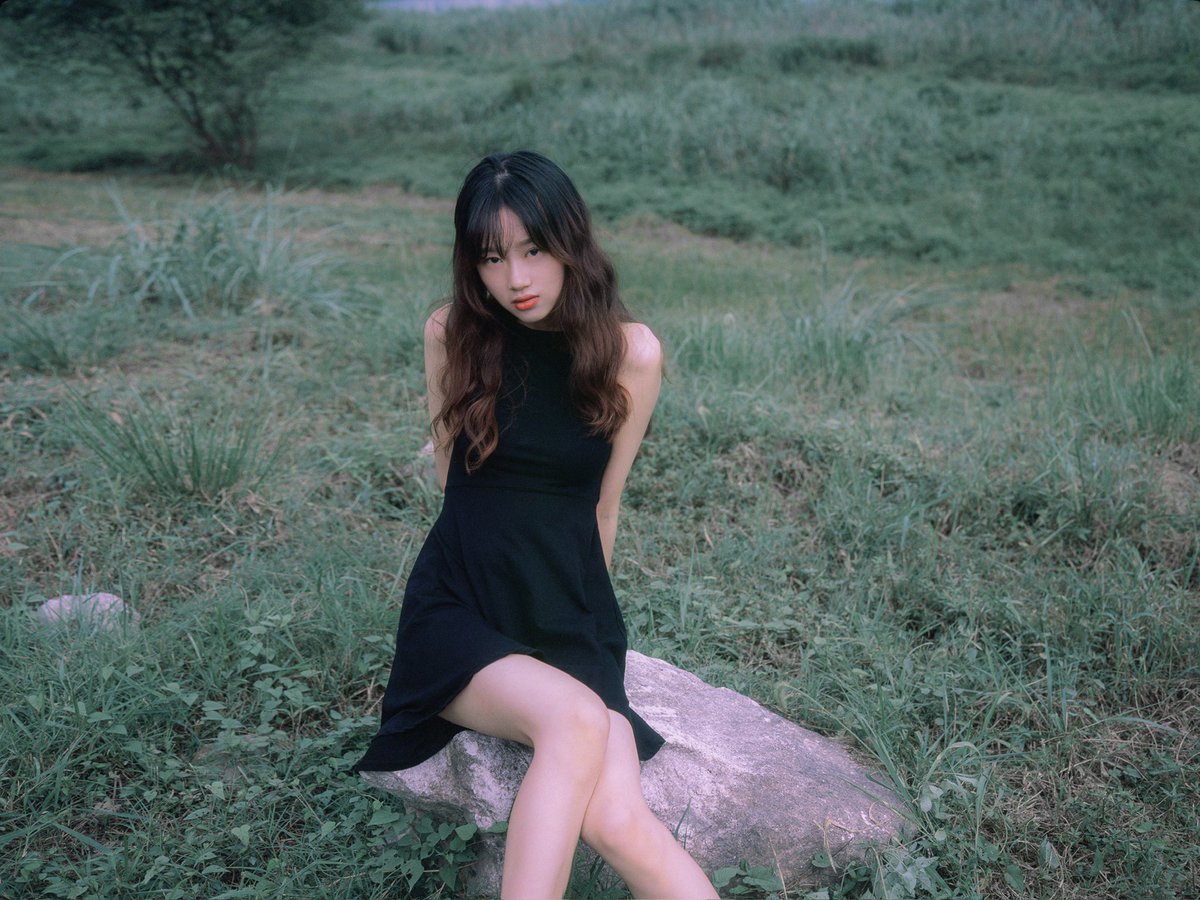 fuji_master_'s tweet photo. 草，叶子🍃

#ポートレート #写真 #film #portrait #filmphotography #photograghy https://t.co/lrTqqxtpzA
