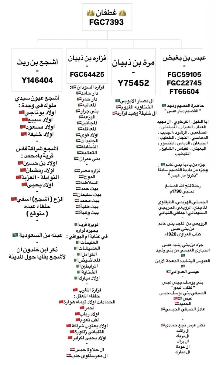 AlHilali28's tweet photo. التحور غطفاني J-FGC7393

أشجع - فزارة - عبس

#غطفان
#التحور_غطفاني
#FGC7393 https://t.co/18mjK30rRI