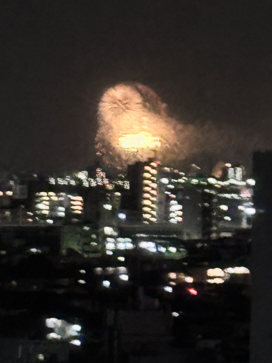 パイノン tweet media