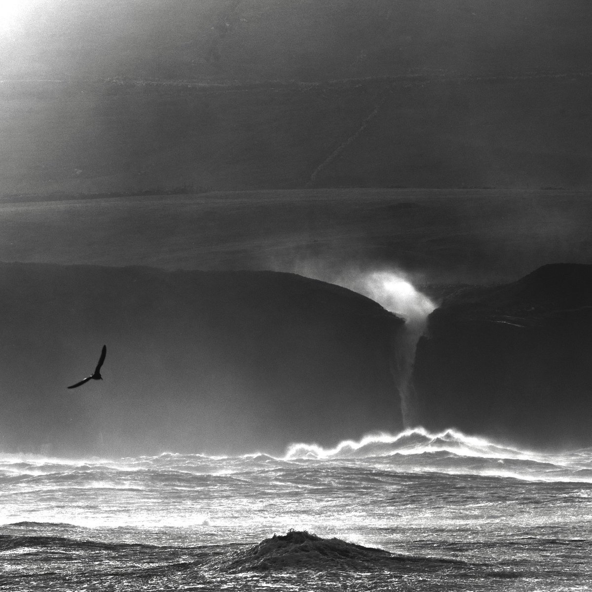 _EFarrellPhoto's tweet image. Mono-tastic minimalism at #cliffsofmoher .. and a free bird. #doolin #coclare #ireland