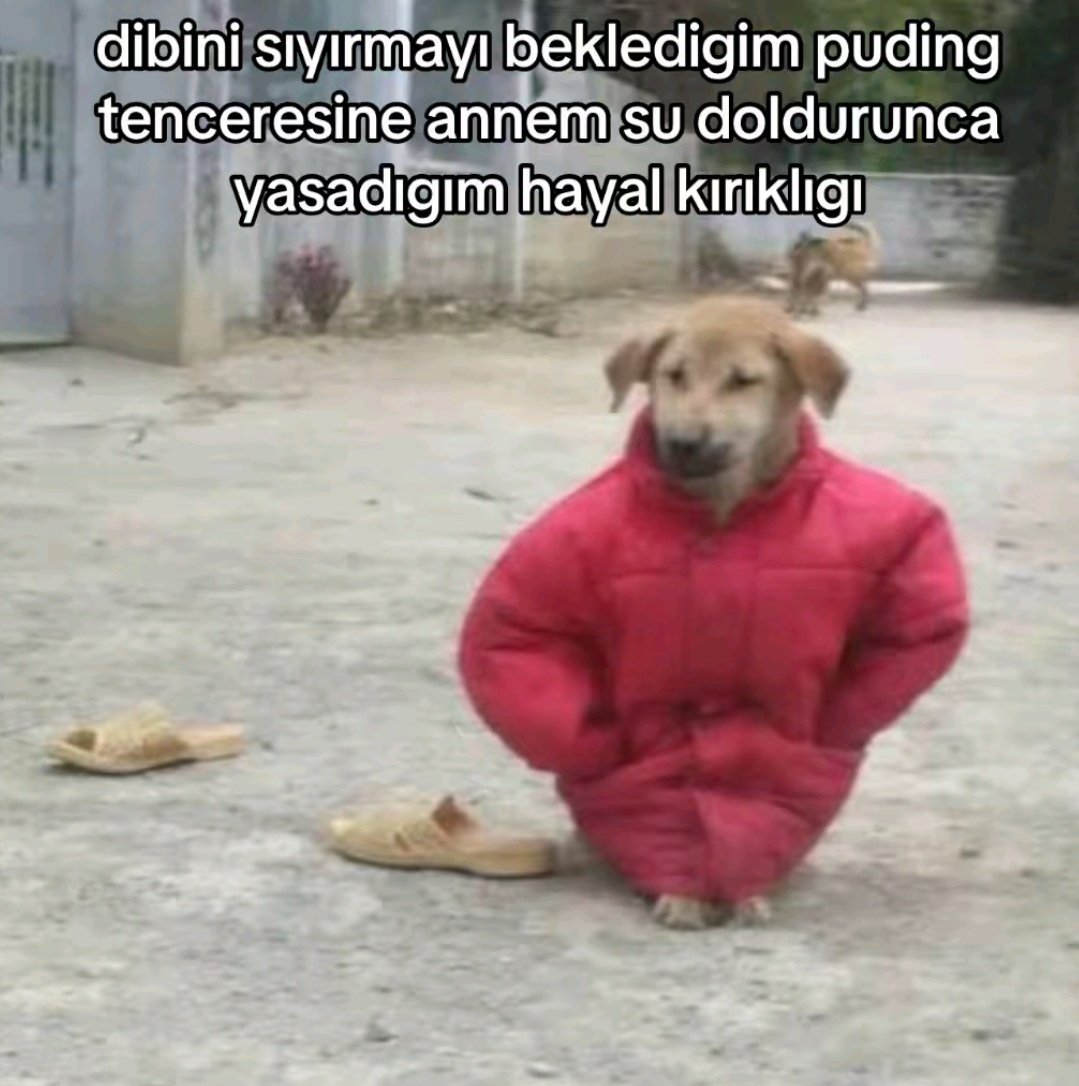 ANLIK (@anlikmod) on Twitter photo 