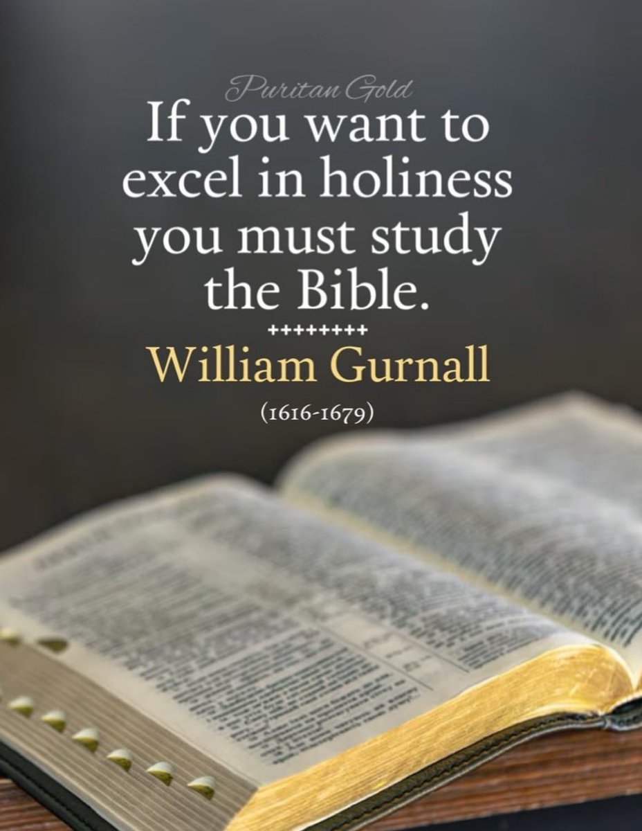 PuritanGold's tweet photo. https://t.co/mjiO5NLdCq