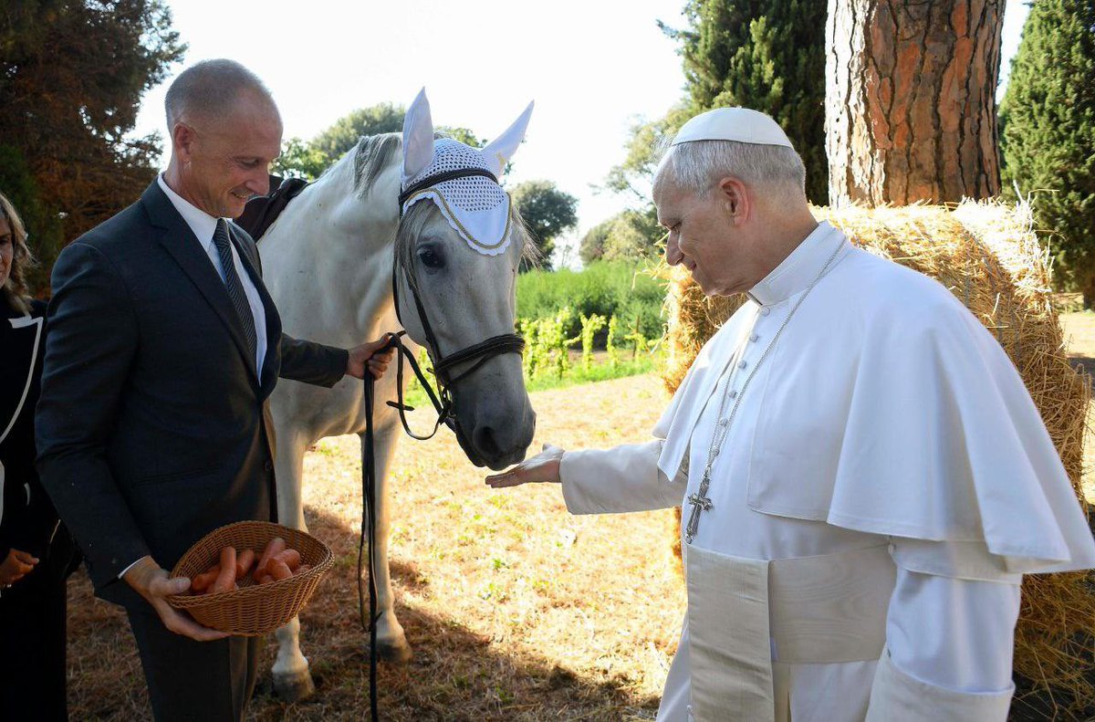David de la Croix (@davidkabila4) on Twitter photo 🇻🇦- Le Borgo Laudato si’, se présente « comme l’une des initiatives de l’Église visant à réaliser cette vocation d’être les gardiens de l’œuvre de Dieu » a expliqué Léon XIV en inaugurant ce « lieu de proximité et de convivialité ». 🇻🇦- Le Borgo Laudato si’, se présente « comme l’une des initiatives de l’Église visant à réaliser cette vocation d’être les gardiens de l’œuvre de Dieu » a expliqué Léon XIV en inaugurant ce « lieu de proximité et de convivialité ».